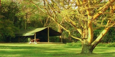 Kenya Budget Camping Safaris
