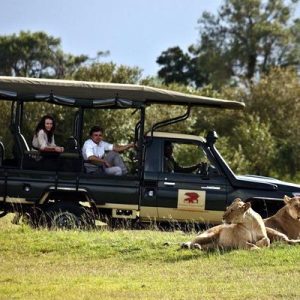 Elewana Safari Packages