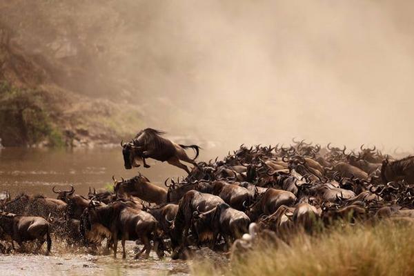 Maasai Mara National Game Reserve Safari Holiday
